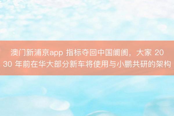 澳門新浦京app 指標奪回中國阛阓，大家 2030 年前在華大部分新車將使用與小鵬共研的架構(gòu)