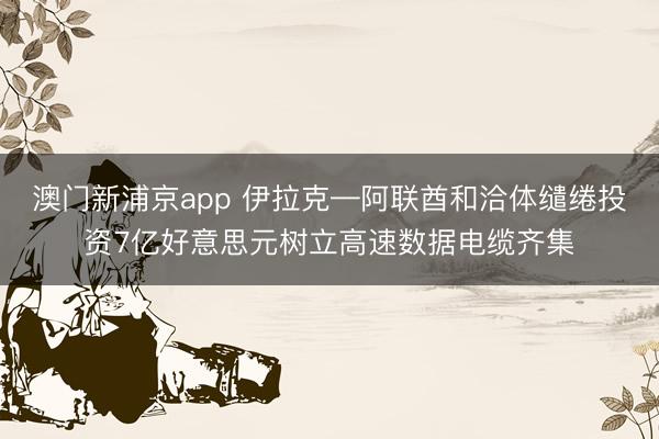澳門新浦京app 伊拉克—阿聯(lián)酋和洽體繾綣投資7億好意思元樹立高速數(shù)據(jù)電纜齊集
