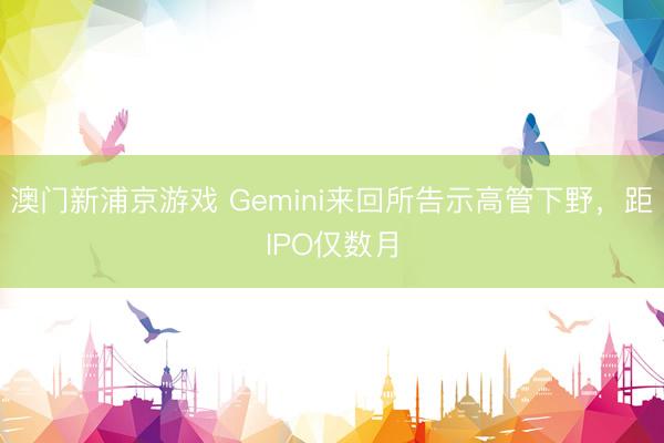澳門(mén)新浦京游戲 Gemini來(lái)回所告示高管下野，距IPO僅數(shù)月