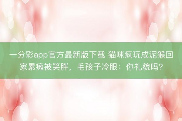 一分彩app官方最新版下載 貓咪瘋玩成泥猴回家累癱被笑胖，毛孩子冷眼：你禮貌嗎?