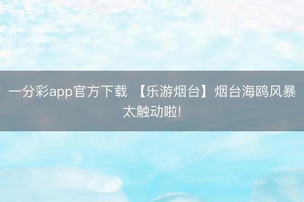 一分彩app官方下載 【樂游煙臺】煙臺海鷗風暴太觸動啦!