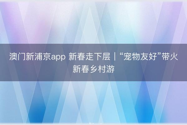 澳門新浦京app 新春走下層｜“寵物友好”帶火新春鄉(xiāng)村游
