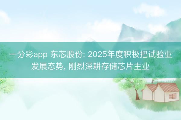 一分彩app 東芯股份: 2025年度積極把試驗業發展態勢, 剛烈深耕存儲芯片主業